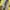 Tas bulu Spongebob tas kuning slingbag photo 2