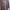 Blazer Wanita Merk Bershka Made In Bangladesh Stik Balik