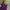 Boneka plush terong eggplant photo 4