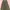 Rok Kancing Army
