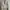 Atasan bulu fuzzy photo 2