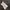 Maison Margiela MM10 Net Defile Snatched Long Sleeve Tees photo 6