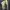 Maison Margiela MM10 Net Defile Snatched Long Sleeve Tees photo 2
