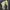 Maison Margiela MM10 Net Defile Snatched Long Sleeve Tees