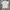 Tees nba photo 1