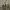 satuset  photo 1