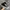 CONVERSE 70S ALL STAR BLACK WHITE photo 1