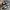 CONVERSE 70S ALL STAR BLACK WHITE photo 5