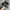ASICS GEL CUMULUS 26 FULL BLACK photo 1