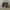 Nike Luxury Sportswear Sneakers Pria blue photo 3