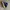 Nike Luxury Sportswear Sneakers Pria blue photo 1