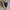 Nike Luxury Sportswear Sneakers Pria Blue