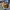 Carhartt Streetwear Casual Bag Pria brown photo 4