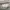 Vivastudio Casual Windbreaker Pria gray photo 4