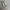Maison Margiela Tabi Ballerina Flats SSENSE Exclusive Grey photo 1