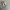 Maison Margiela Tabi Ballerina Flats SSENSE Exclusive Grey