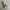 Maison Margiela Tabi Ballerina Flats SSENSE Exclusive Grey photo 4