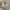 NIKE CORTEZ FOREST GUMP NOT VANS CONVERSE photo 7