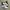 NIKE CORTEZ FOREST GUMP NOT VANS CONVERSE photo 1