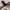 Oakley Gorpcore Casual Glass Pria black photo 5