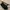 Oakley Gorpcore Casual Glass Pria black photo 1