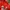 Jersey Training Bayern munchen 2019 photo 4