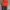Jersey Training Bayern munchen 2019 photo 1
