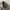 CARGO PANTS GREY photo 7