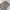 CARGO PANTS GREY photo 6