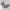 CARGO PANTS GREY photo 5