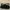 Oakley Gorpcore Casual Glass Pria brown photo 2