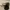 Oakley Gorpcore Casual Glass Pria brown photo 4