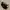 Oakley Gorpcore Casual Glass Pria brown photo 1