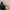 Oakley Gorpcore Casual Sunglass Pria silver blue photo 2
