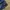 NFL jacket windbreaker photo 5
