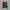 OLIVE Des OLIVE Casual Cardigan Wanita Green
