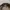 Shirter co Canvas Outer jacket  photo 8