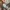 Shirter co Canvas Outer jacket  photo 7