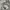 New Balance Sportswear Casual Sneakers Pria White