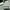 Sepatu Adidas Courtbeat Black White Men Original photo 1
