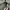 Vintage GSDF Ground Self-Defense Force Japan Military Jacket photo 6