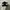 ONE STAR FULLBLACK  photo 1