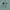 Casual Polo shirt Pria green photo 4