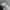 Champion Streetwear Sweatshirt Pria gray photo 5
