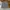 [GU] Jorts Stripe Carpenter⛓️‍💥 photo 5
