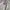 Nike Streetwear Sportswear Hoody Pria Gray