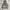 Nike Streetwear Sportswear Hoody Pria Gray