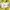 COMME des GARÇONS Luxury Skinny jeans Wanita yellow photo 5
