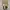 [Brand New] Nylon Multipocket Midi Backpack photo 1