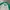 Lacoste Long Sleeve